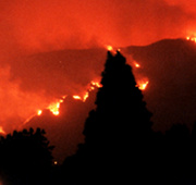 Hill Fire