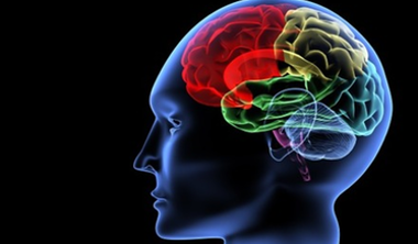 Enter your email to signup for free updates