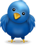 Twitter Bird