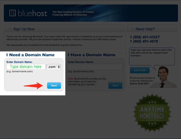 Bluehost Domain pick
